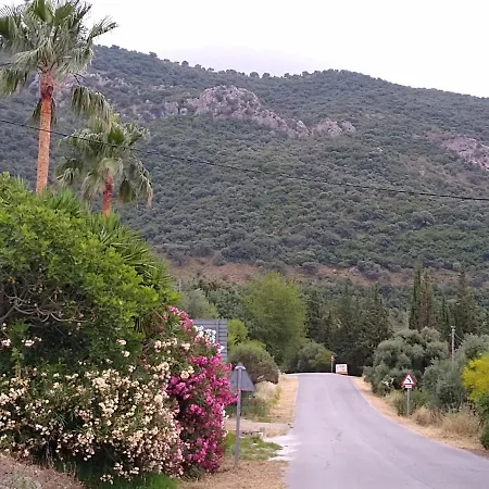 El Antiguo Molino El Bosque