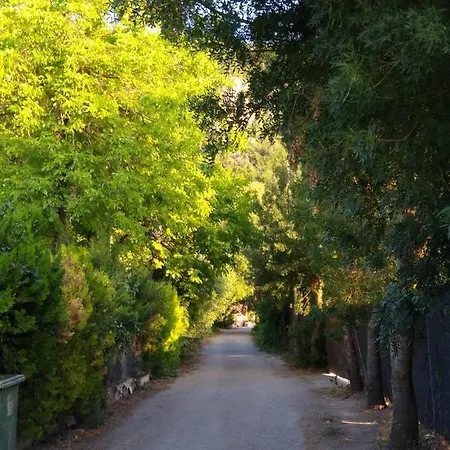 El Antiguo Molino * El Bosque